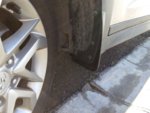 IMG_20160225_101854.jpg