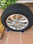 IMG_5295.jpeg