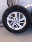 IMG_20200819_092502_549.jpg