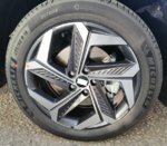IMG-20201218-WA0009~2.jpg