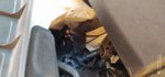 IMG_20210416_201621.jpg