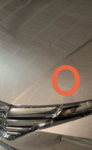 E120CE83-AE5D-4607-BD6B-5F5286E22134.jpeg E120CE83-AE5D-4607-BD6B-5F5286E22134.jpeg