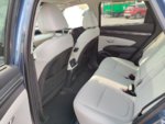 Interior 2.jpg