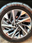 IMG_20221218_093034.jpg