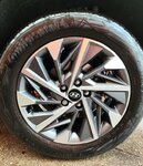 IMG_20221218_093021.jpg