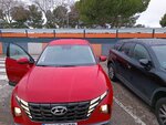 IMG_20221223_085334.jpg