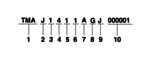 img2.png img2.png