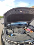 IMG_20230901_173524.jpg