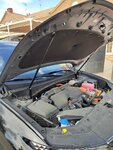 IMG_20230901_173521.jpg