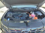 IMG_20230922_130721.jpg