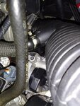 IMG_20240417_131700.jpg
