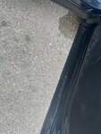 IMG_3667.jpeg