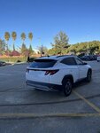 IMG_20241220_232213.jpg