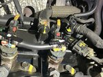 IMG_8328.jpeg