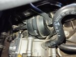 IMG_20250104_133118.jpg