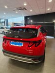 coche trasera.jpg