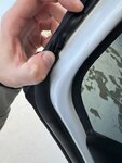 IMG_8155.jpeg
