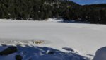 IMG_20161208_114843.jpg