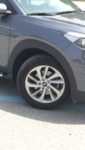 IMG_5311.PNG IMG_5311.PNG