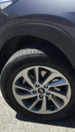 IMG_5315.PNG IMG_5315.PNG