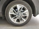 tucs aro.jpg
