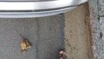 20170901_194937.jpg