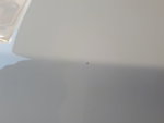 20171109_155326.jpg