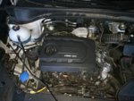 IMG_20170804_205210.jpg