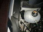 IMG_20170804_205202.jpg