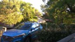 IMG-20180623-WA0019.jpeg