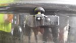 20180718_140518_resized.jpg