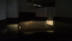 IMG_20180911_204050.jpg