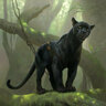 Bagheera