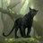 Bagheera